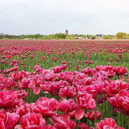 Bed en Breakfast en Bike Sommelsdijk Eksteriør bilde