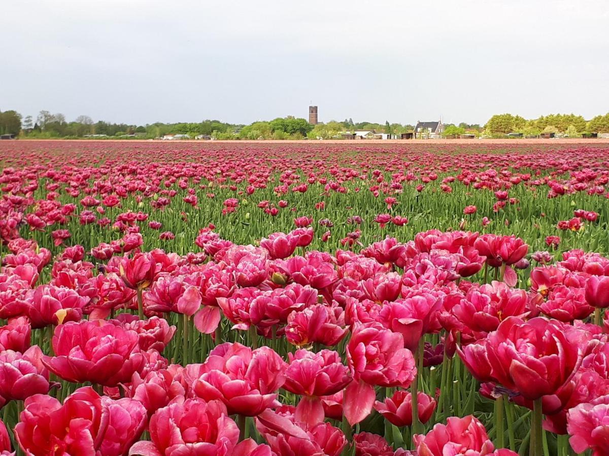 Bed en Breakfast en Bike Sommelsdijk Eksteriør bilde